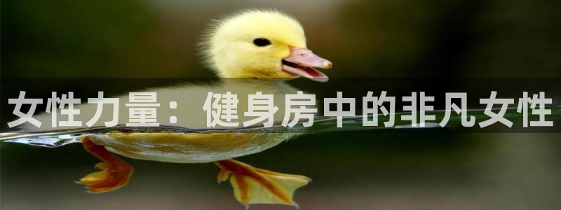 龙8国际com