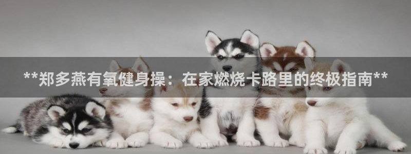 龙8国际ing