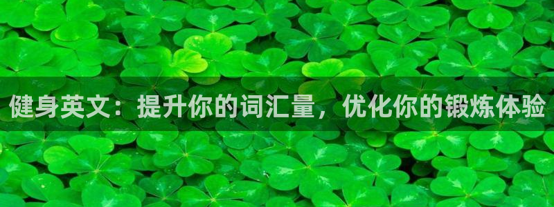 龙8国际手机版官网下载
