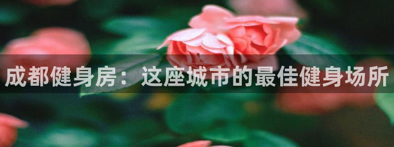 龙8国际是什么平台