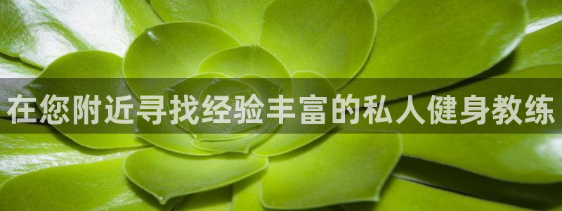 龙8国际手机登