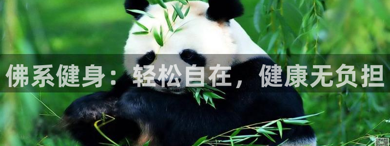 龙8国际官网app下载