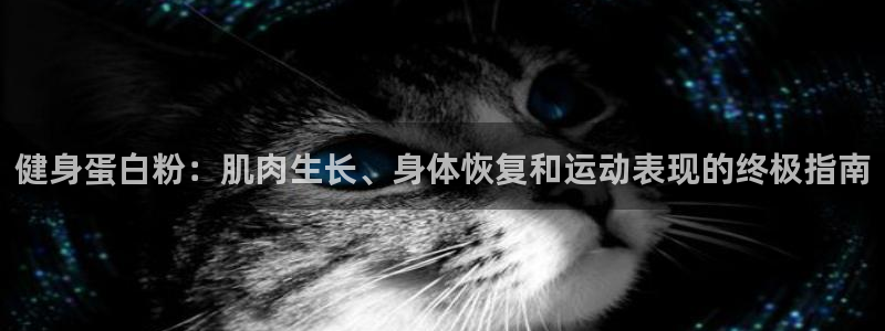 龙8棋牌官网