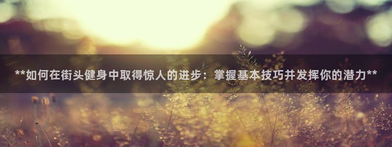 龙8国际pt