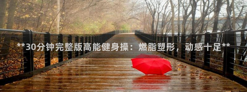龙8国际app下载安装