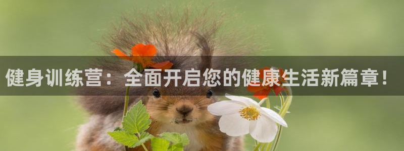龙8国际提现被黑