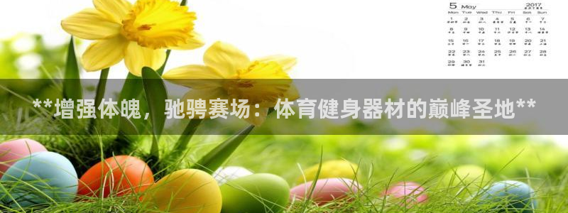 龙8国际提现