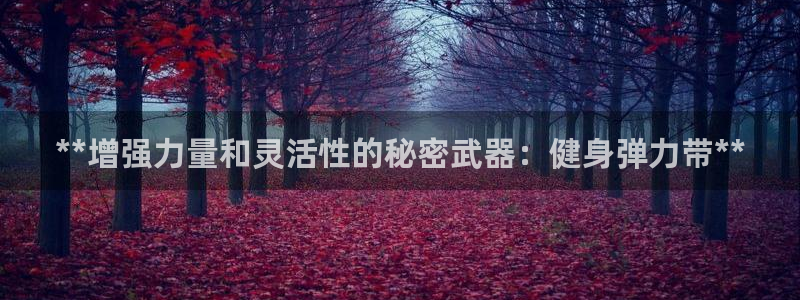 龙8全新客户端安卓版