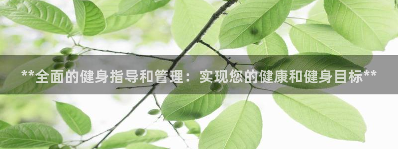 下载龙八国际官网