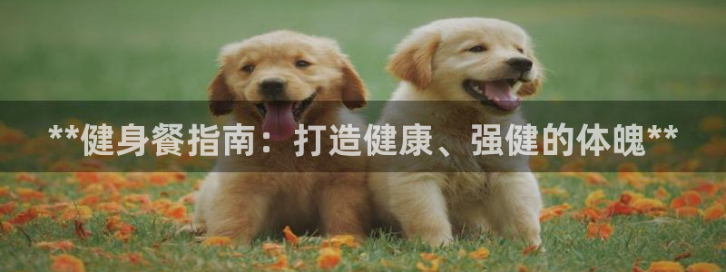 龙8游戏官方网站登录