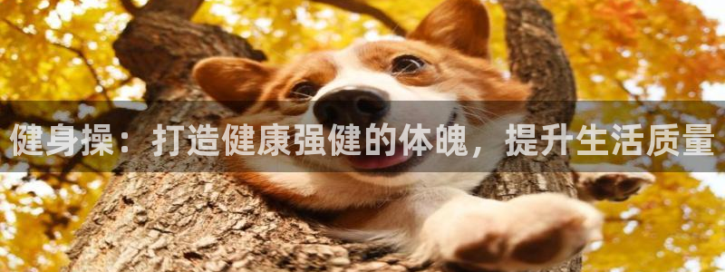 龙8国际老虎机电子