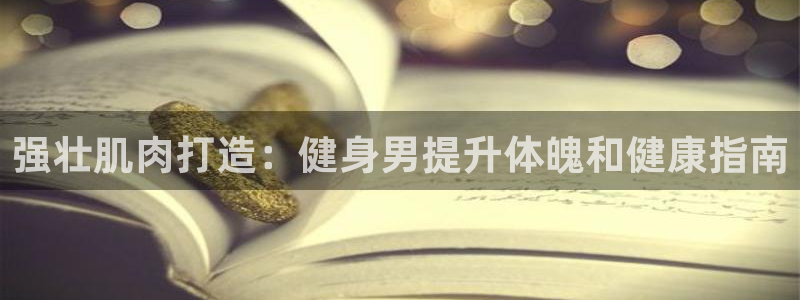 龙八国际服官网站