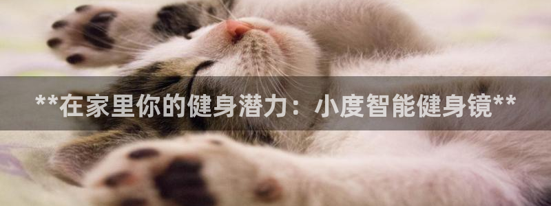 龙8官网游戏