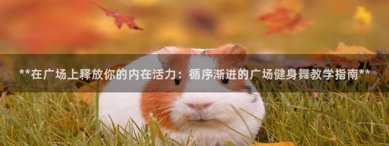 龙八国际网页