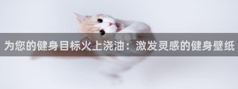 龙8国际官方网站苹果版