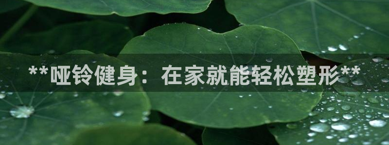 龙8国际app客户端下载不了