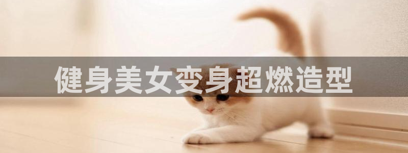 龙8国际龙8客户端