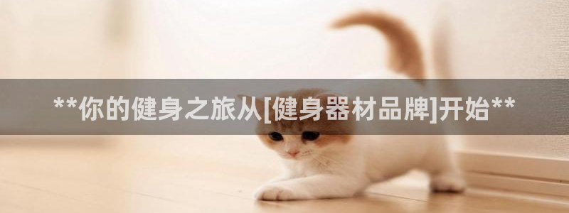 龙8国际手机官网下载安装