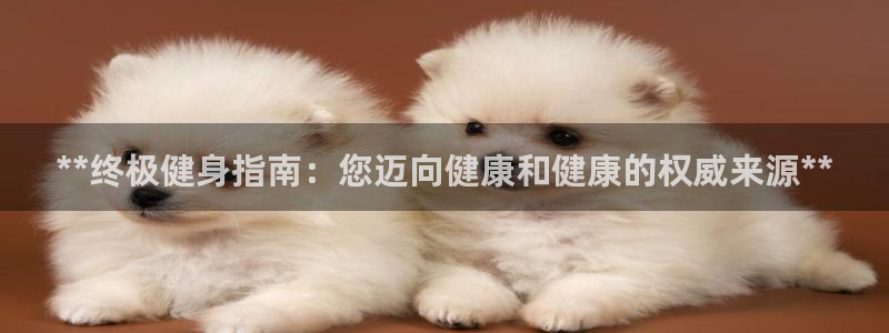龙八国际娱乐老板是谁