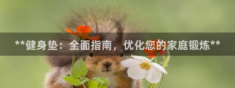 龙8国际老虎机官网
