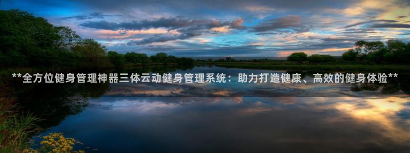 龙8国际游资如何