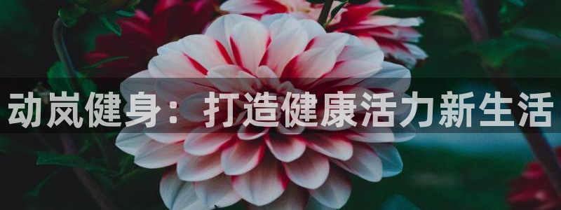 龙8国际官方网手机版下载安装