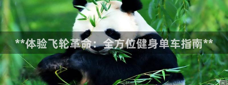 龙8国际平台登录