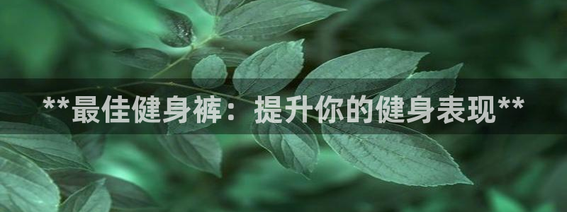 龙8国际试玩