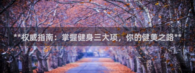 龙8国际-我的