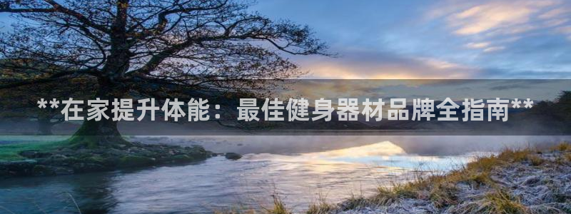 龙8app 国际