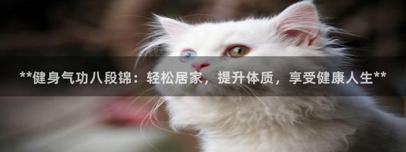 龙8国际现金