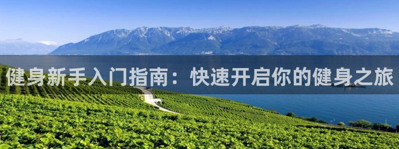 龙八国际2018最新官网