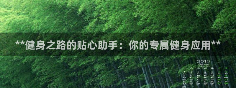 龙8国际怎么样