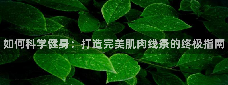龙8国际害死多少人