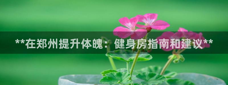 龙8国际3.0
