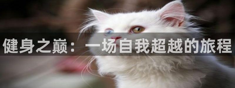 龙8国际登录口