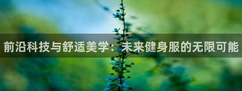 龙八国际服官网入口