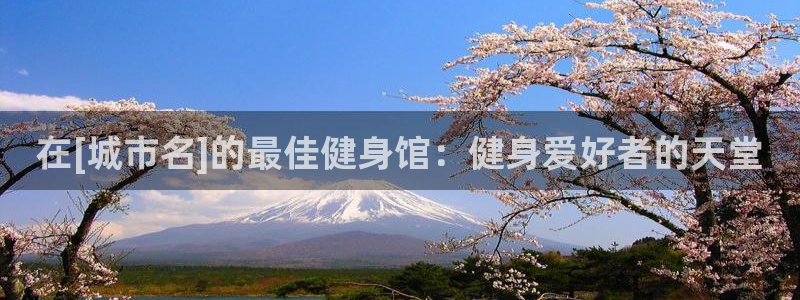 龙8国际long8