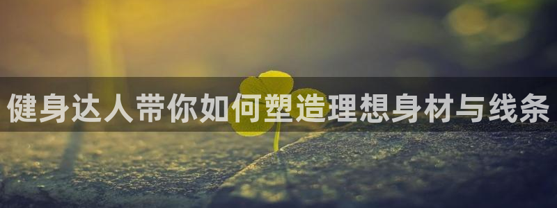 龙8国际pt