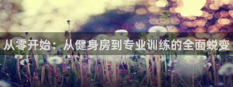 龙8网页版登录入口