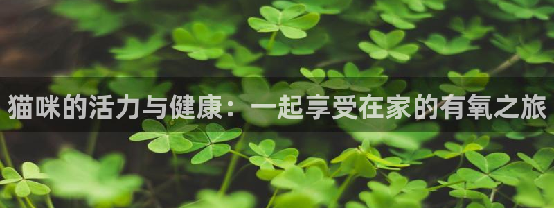 龙8国际官网版最新版下载