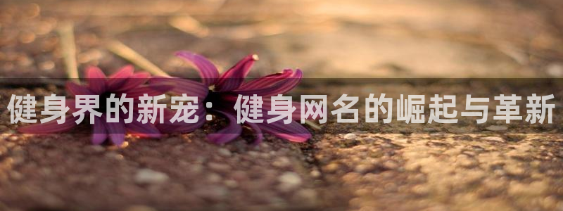 龙8国际的官网