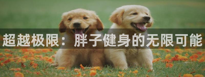 龙八国际娱乐官网下载