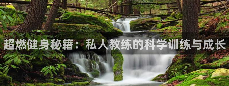 龙8国际long8官方版下载