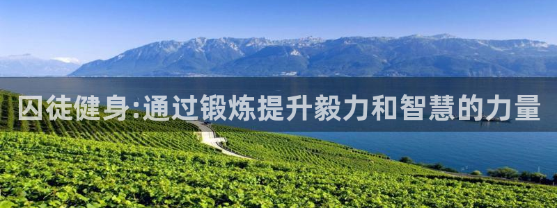 龙 八国际