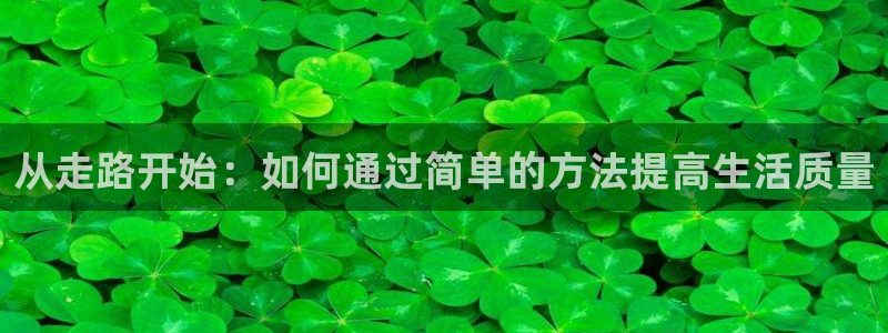 龙 八国际