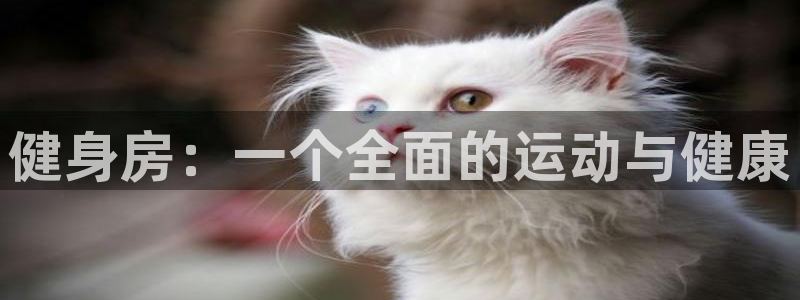 龙八国际app客户下载