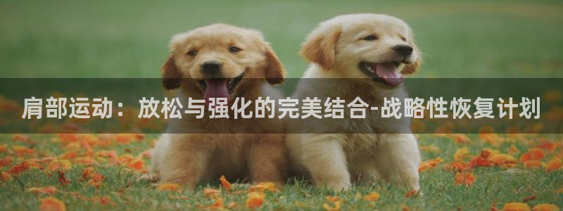 龙8国际手机登
