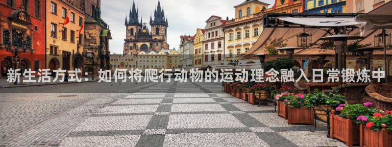 龙8国际pt客户端下载