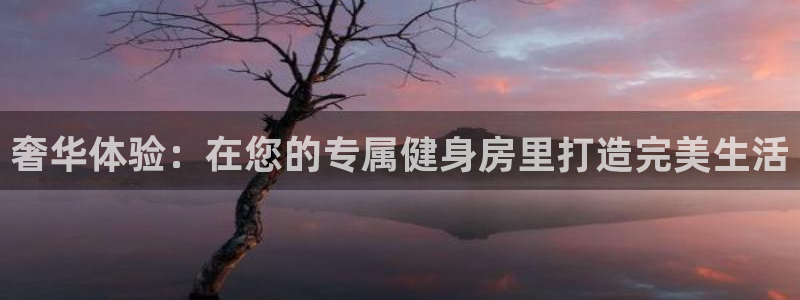 龙 八国际